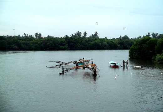 01_negombo_sri_lanka Flussfischer