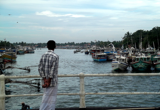 01_negombo_sri_lanka Blick auf den Fluss