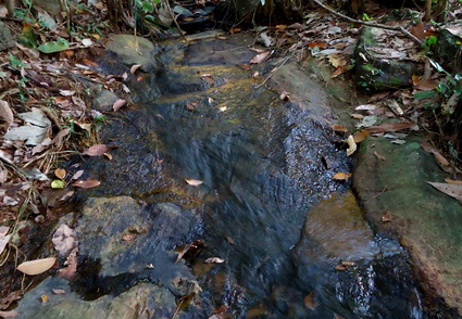 02_gonagaldeniya_sri_lanka