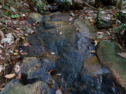 02_gonagaldeniya_sri_lanka