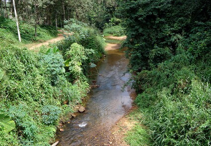 02_gonagaldeniya_sri_lanka