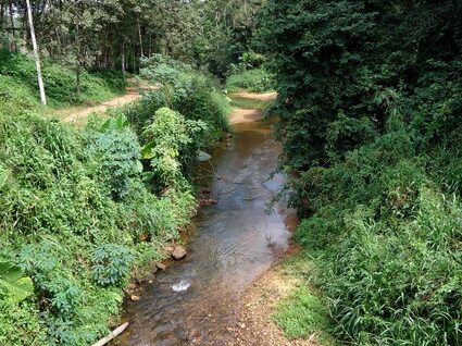 02_gonagaldeniya_sri_lanka