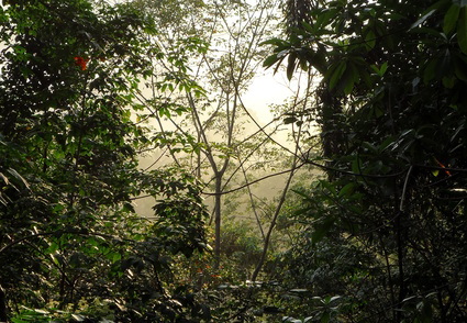 02_gonagaldeniya_sri_lanka