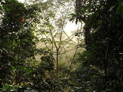 02_gonagaldeniya_sri_lanka