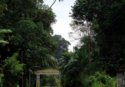 02_gonagaldeniya_sri_lanka