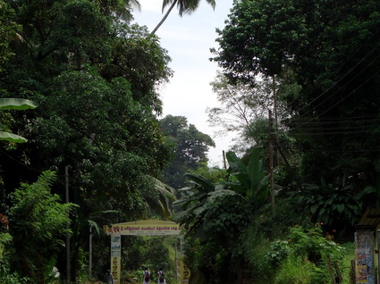 02_gonagaldeniya_sri_lanka