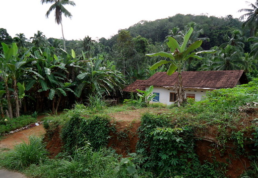 02_gonagaldeniya_sri_lanka