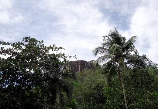 02_gonagaldeniya_sri_lanka