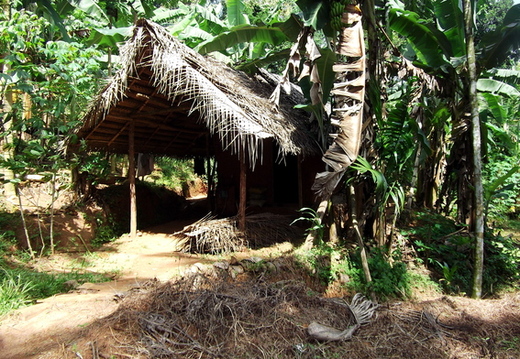 02_gonagaldeniya_sri_lanka