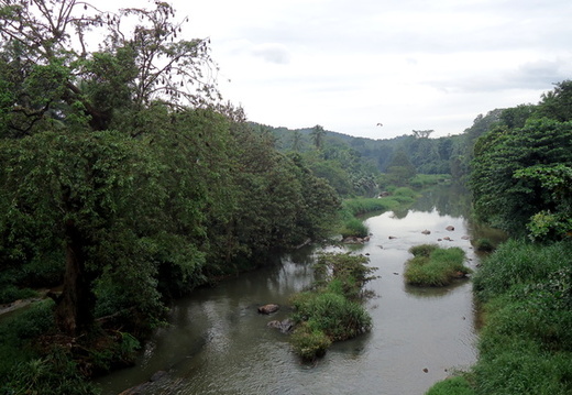 03_nach_Kandy_sri_lanka
