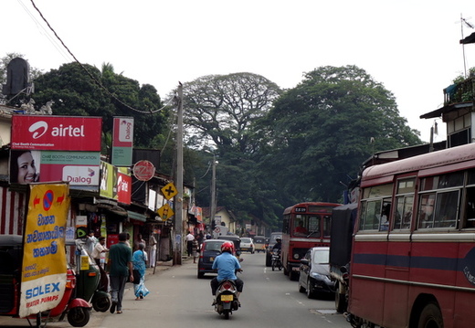 03_nach_Kandy_sri_lanka