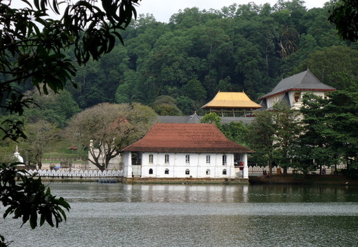 03_nach_Kandy_sri_lanka