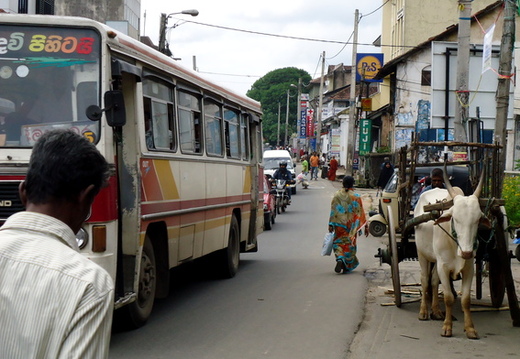 03_nach_Kandy_sri_lanka