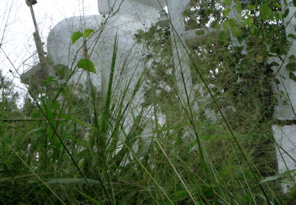 03_nach_Kandy_sri_lanka