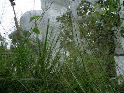 03_nach_Kandy_sri_lanka