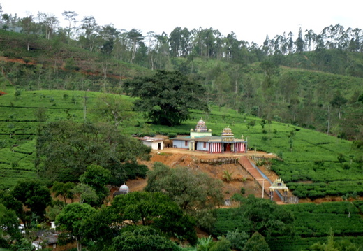 05_hochland_sri_lanka