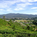 05_hochland_sri_lanka