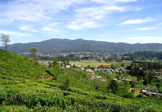 05_hochland_sri_lanka