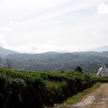 05_hochland_sri_lanka
