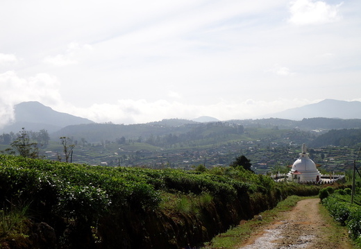 05_hochland_sri_lanka