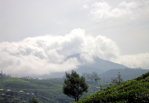 05_hochland_sri_lanka