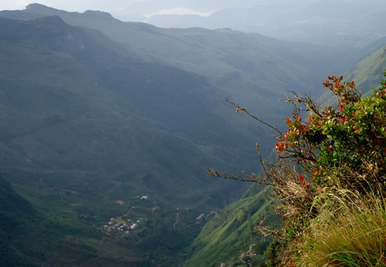 05_hochland_sri_lanka