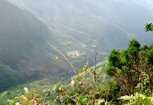 05_hochland_sri_lanka