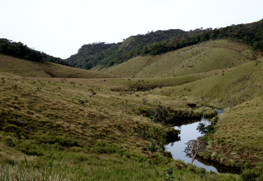 05_hochland_sri_lanka