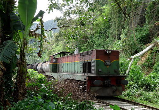 05_hochland_sri_lanka