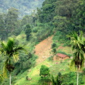 05_hochland_sri_lanka