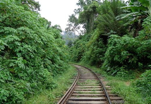 05_hochland_sri_lanka