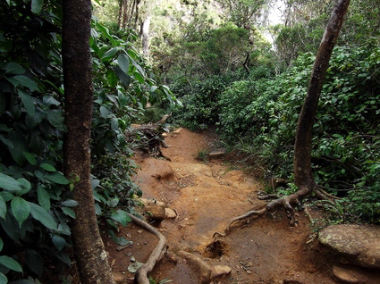 05_hochland_sri_lanka