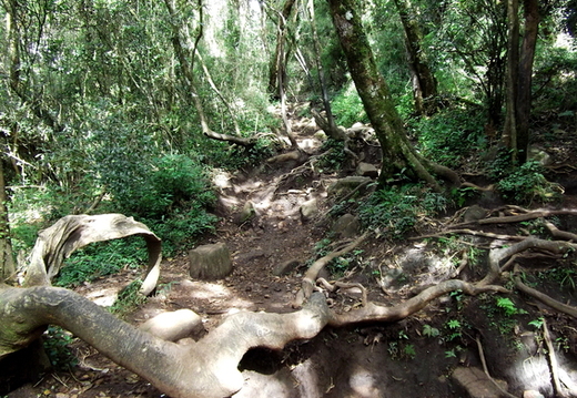 05_hochland_sri_lanka