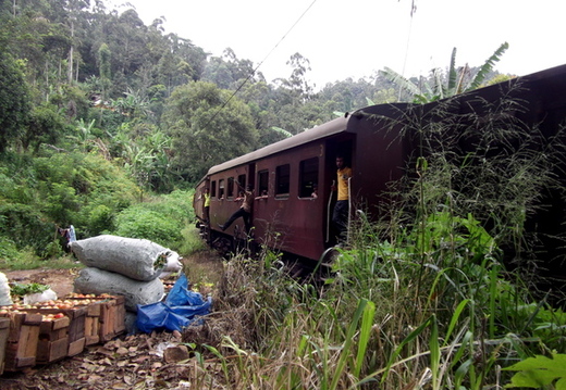 05_hochland_sri_lanka
