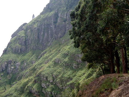 05_hochland_sri_lanka