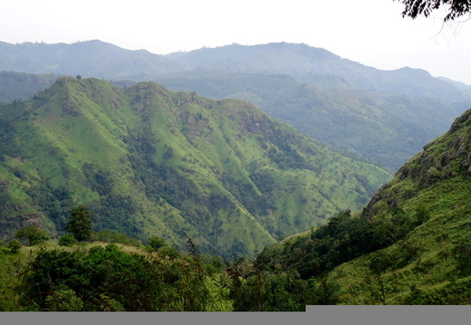 05_hochland_sri_lanka