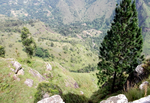 05_hochland_sri_lanka