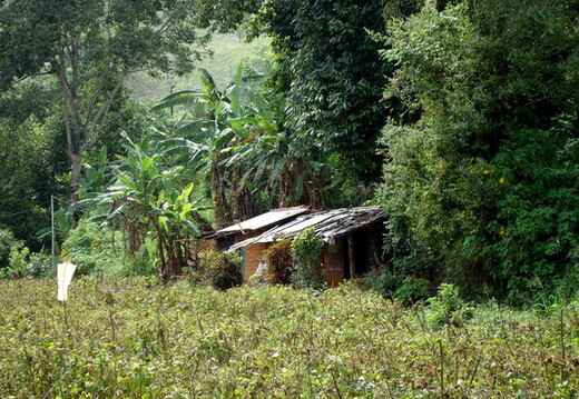 05_hochland_sri_lanka