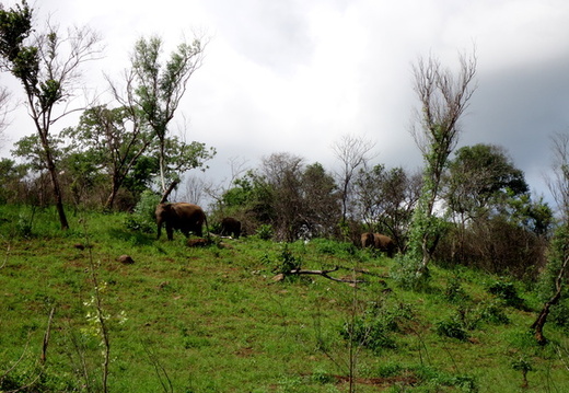 06_trincomalee_sri_lanka