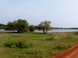 08_yala_sri_lanka