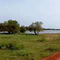 08_yala_sri_lanka