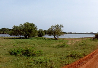 08_yala_sri_lanka
