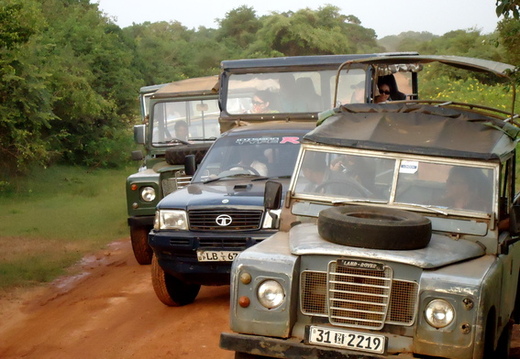 08_yala_sri_lanka