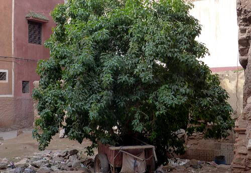 Altstadt Marrakesch Baulücke