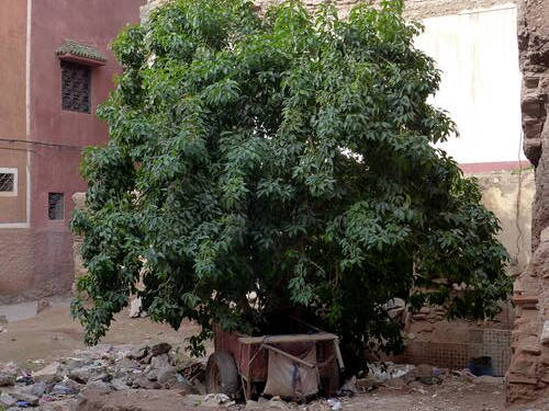 Altstadt Marrakesch Baulücke