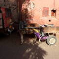 Altstadt Marrakesch Transport