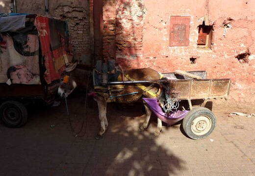 Altstadt Marrakesch Transport