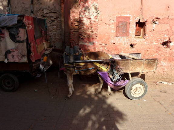 Altstadt Marrakesch Transport