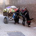 Marrakesch Medina Transport