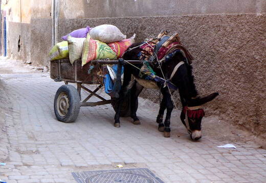 Marrakesch Medina Transport